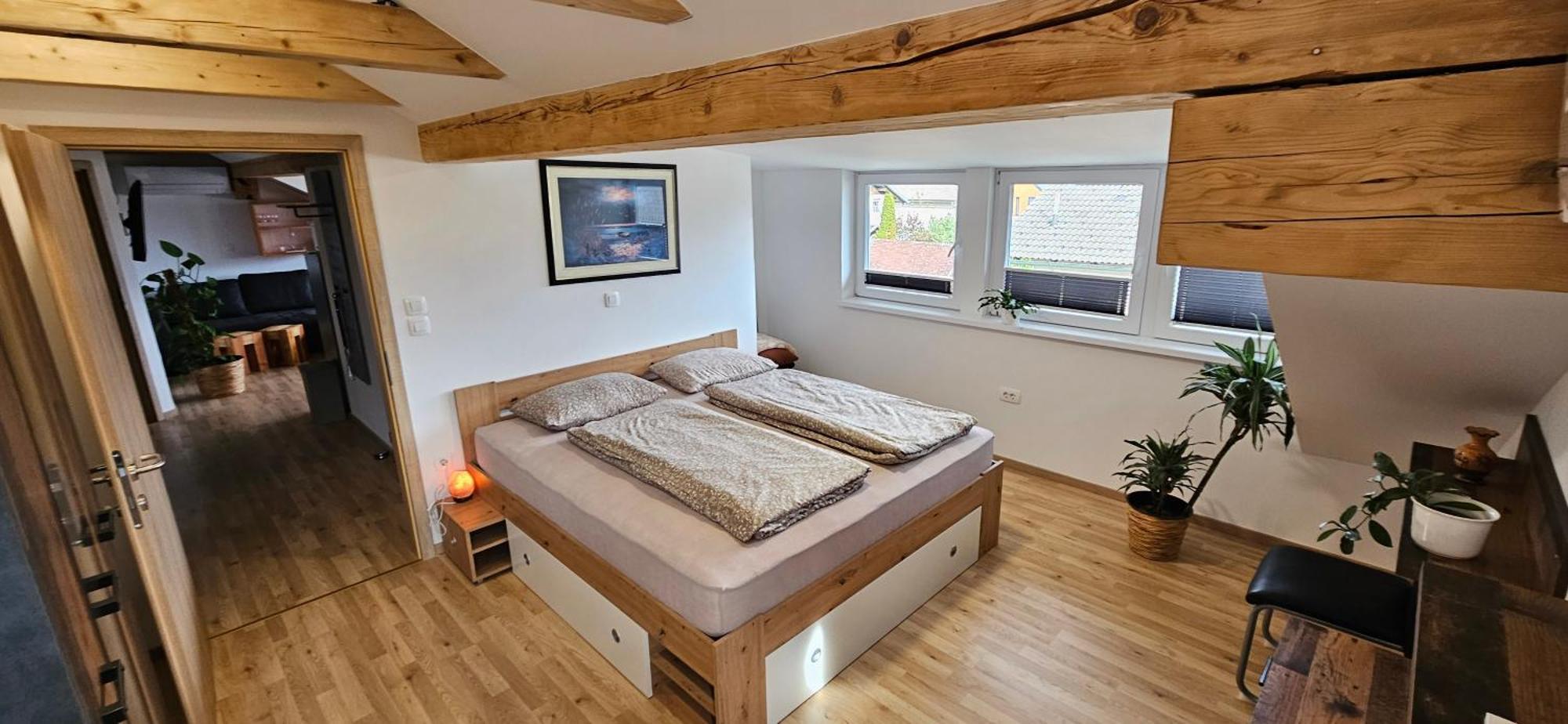 Apartma Ajja Šenčur Exterior foto